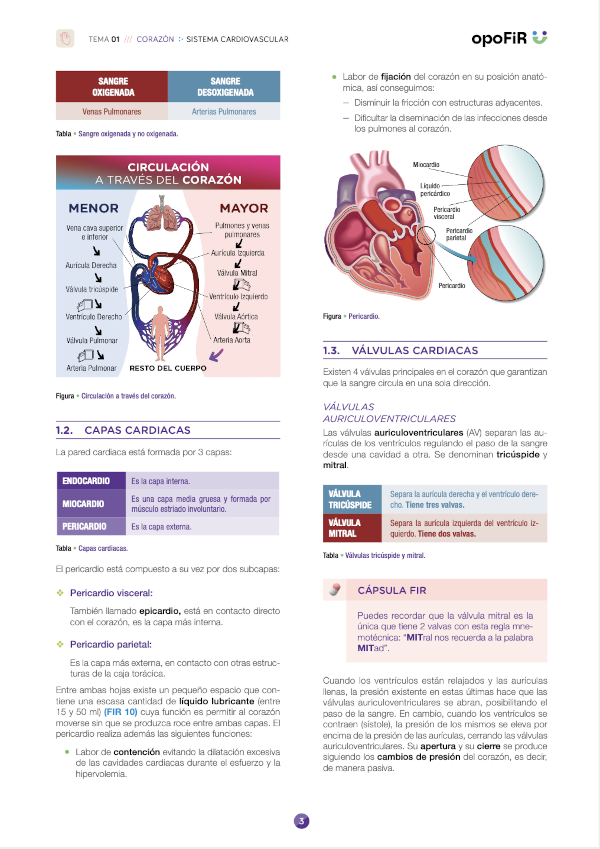 Ejemplo pagina apuntes